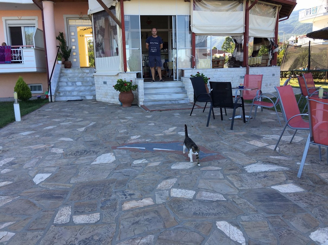 Pension Delfini Seaview主图