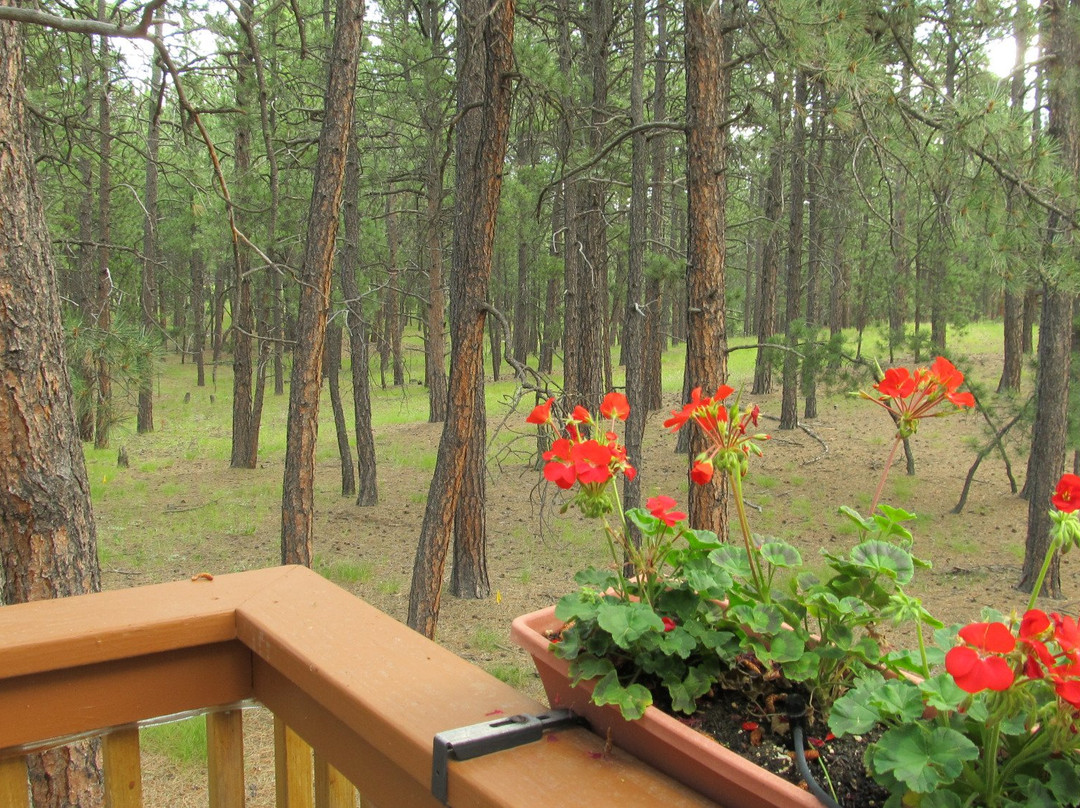 Rogers Inn The Pines主图