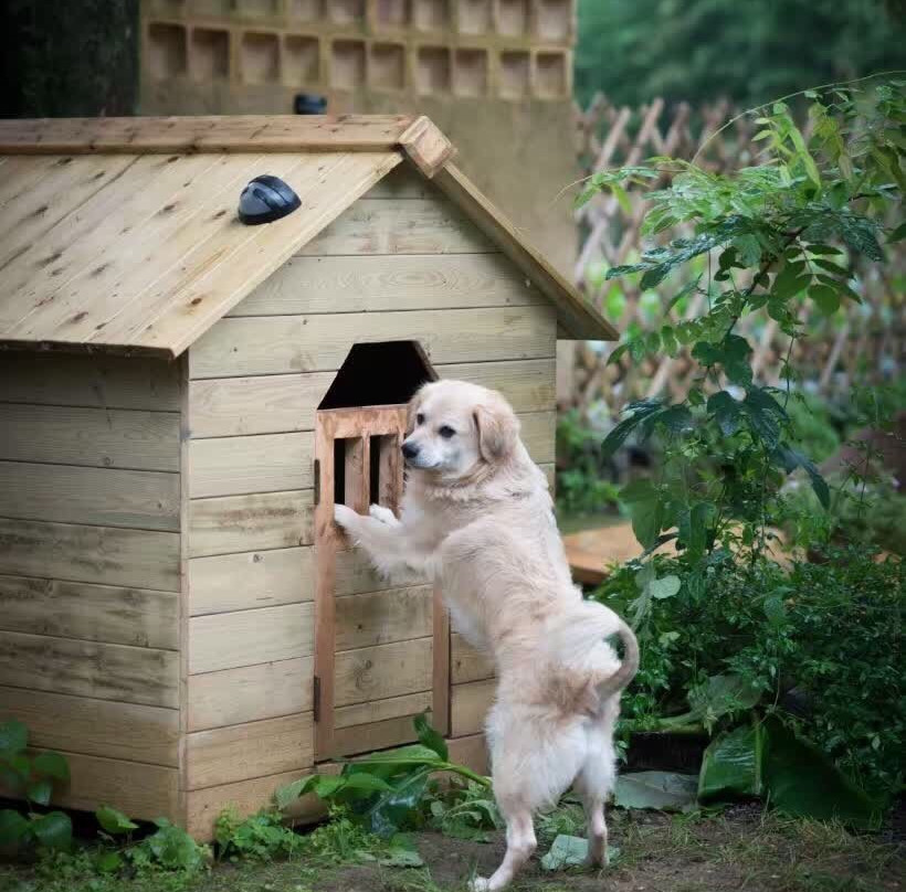 在双桥山居度假旅舍主图