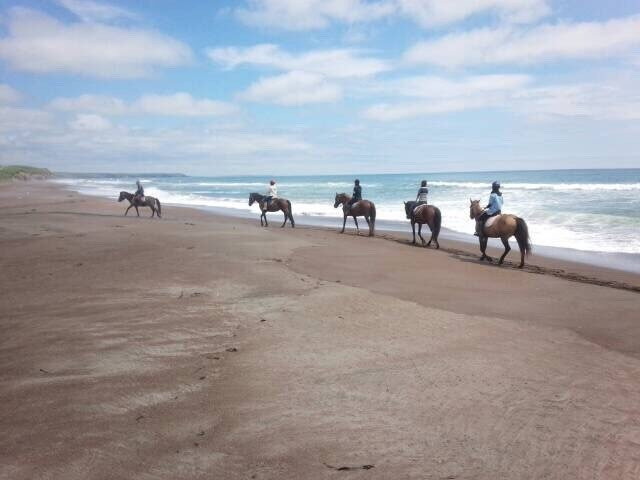 North Pacific Sea Side Line Horse Club-滨中町必去景点