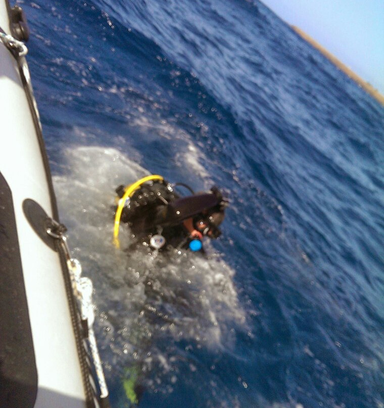 Dive Club Tenerife - Ocean Project-Palm-Mar必去景点
