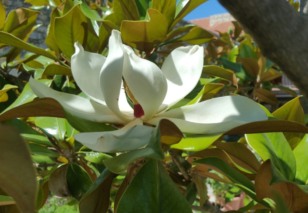 Agia Moni Monastery-帕福斯必去景点