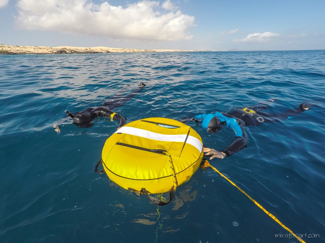MAGMA Freediving School-拉哈雷斯必去景点