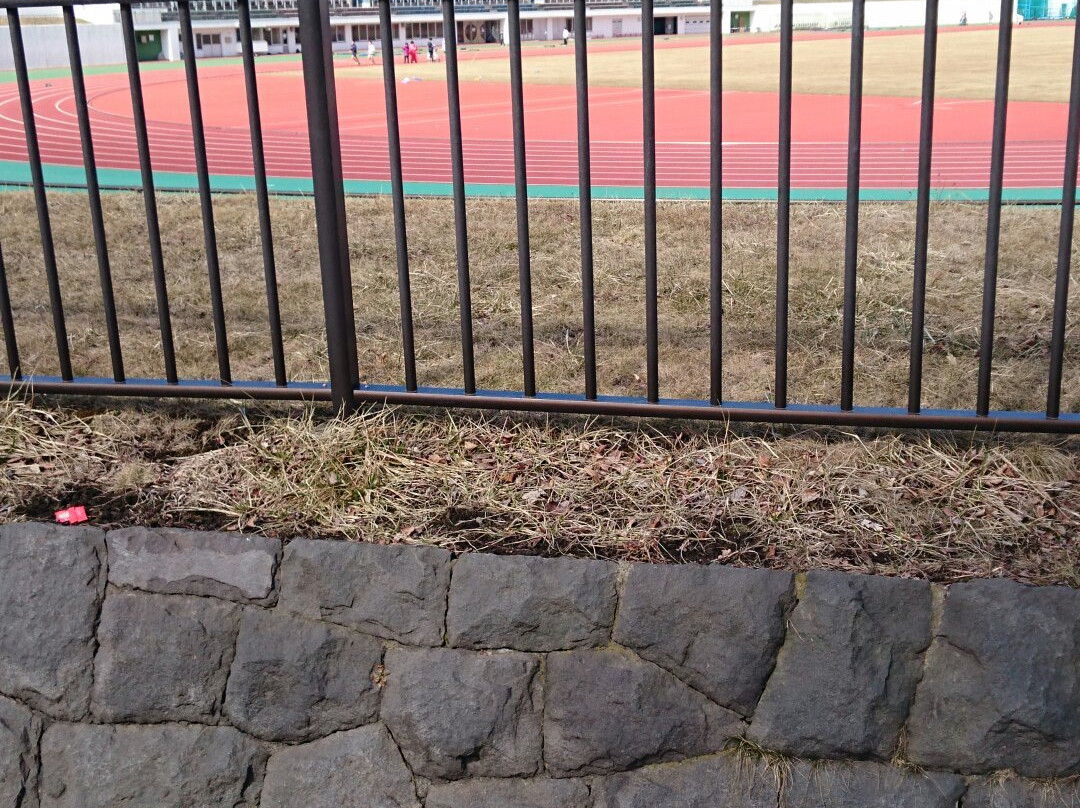 Irie Sports Park-室兰市必去景点