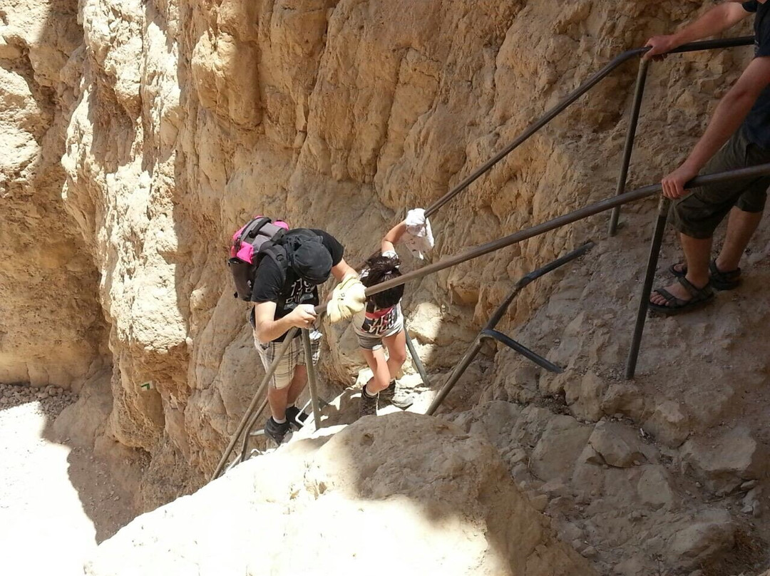 Nahal Tamar-死海地区必去景点