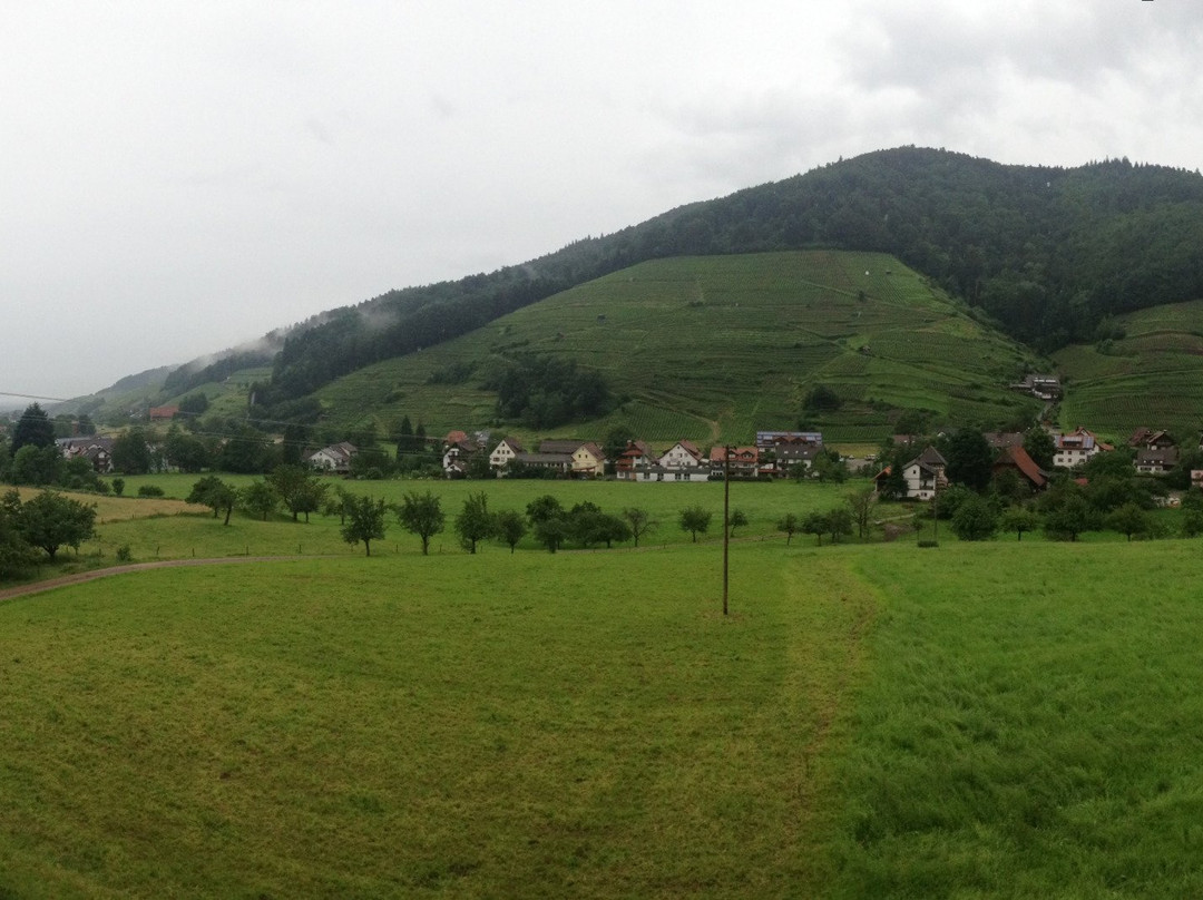 Minotel Tobererhof主图