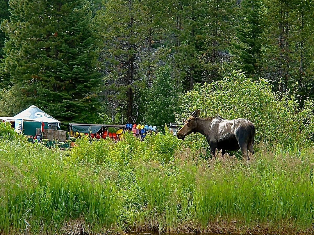 Backwoods Adventures-McCall必去景点