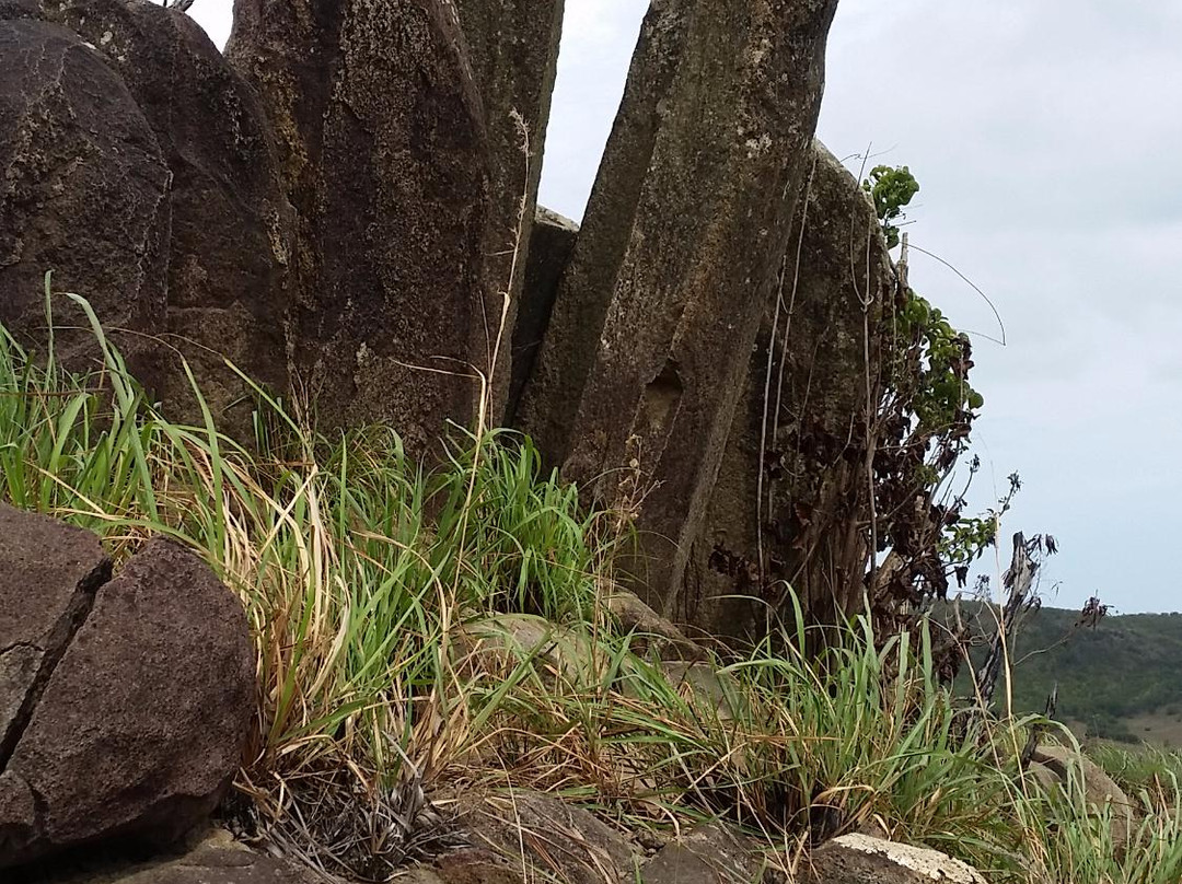 Megaliths Of Greencastle Hill-安提瓜必去景点