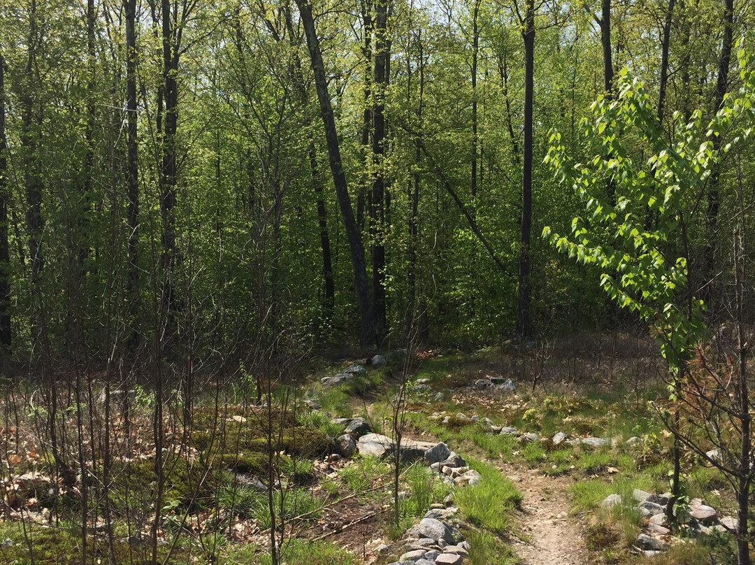 Giorgetti Park-Rutland必去景点