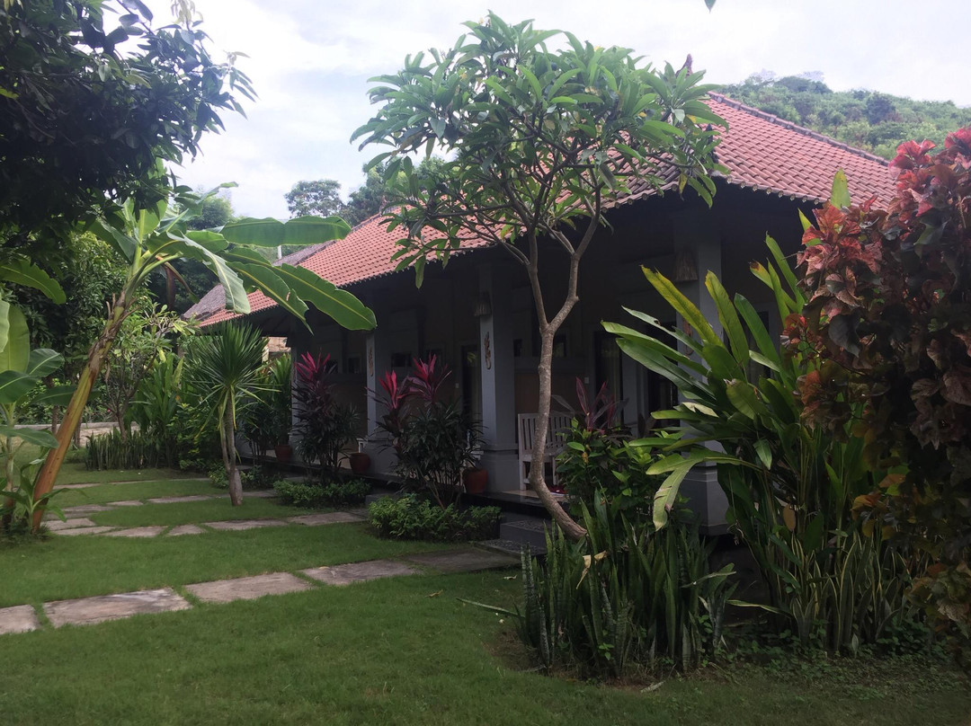 Bali Gecko Homestay主图