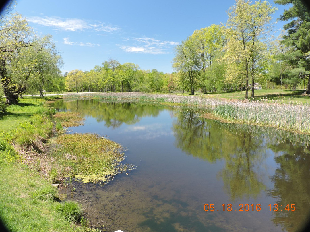 海德公园旅游攻略图片