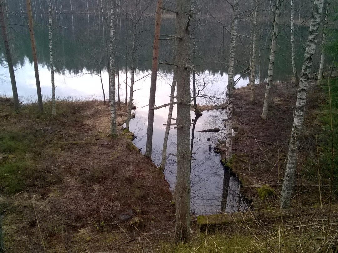 Immalanjärvi主图
