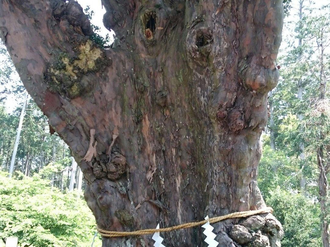 Amenomiya Jinja Shrine-森町必去景点