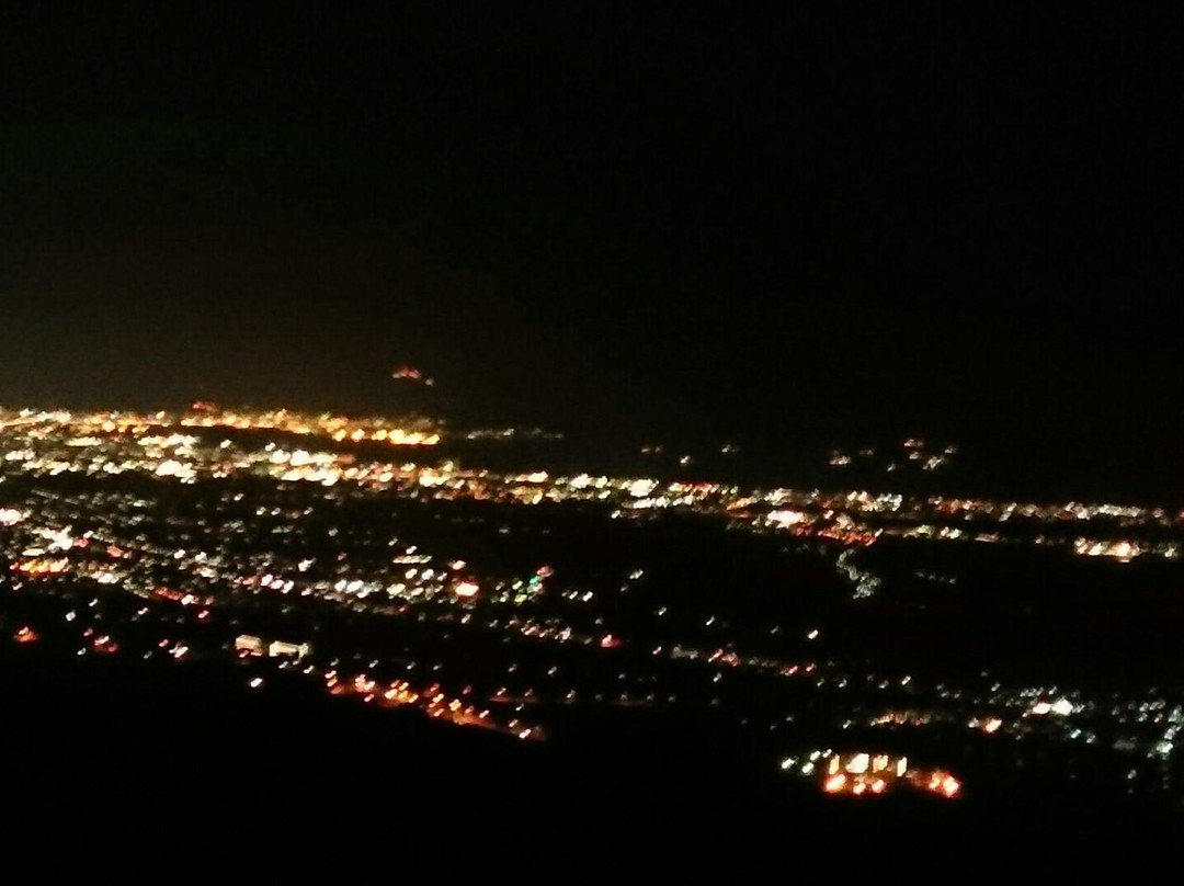 Shirotai Farm-七饭町必去景点