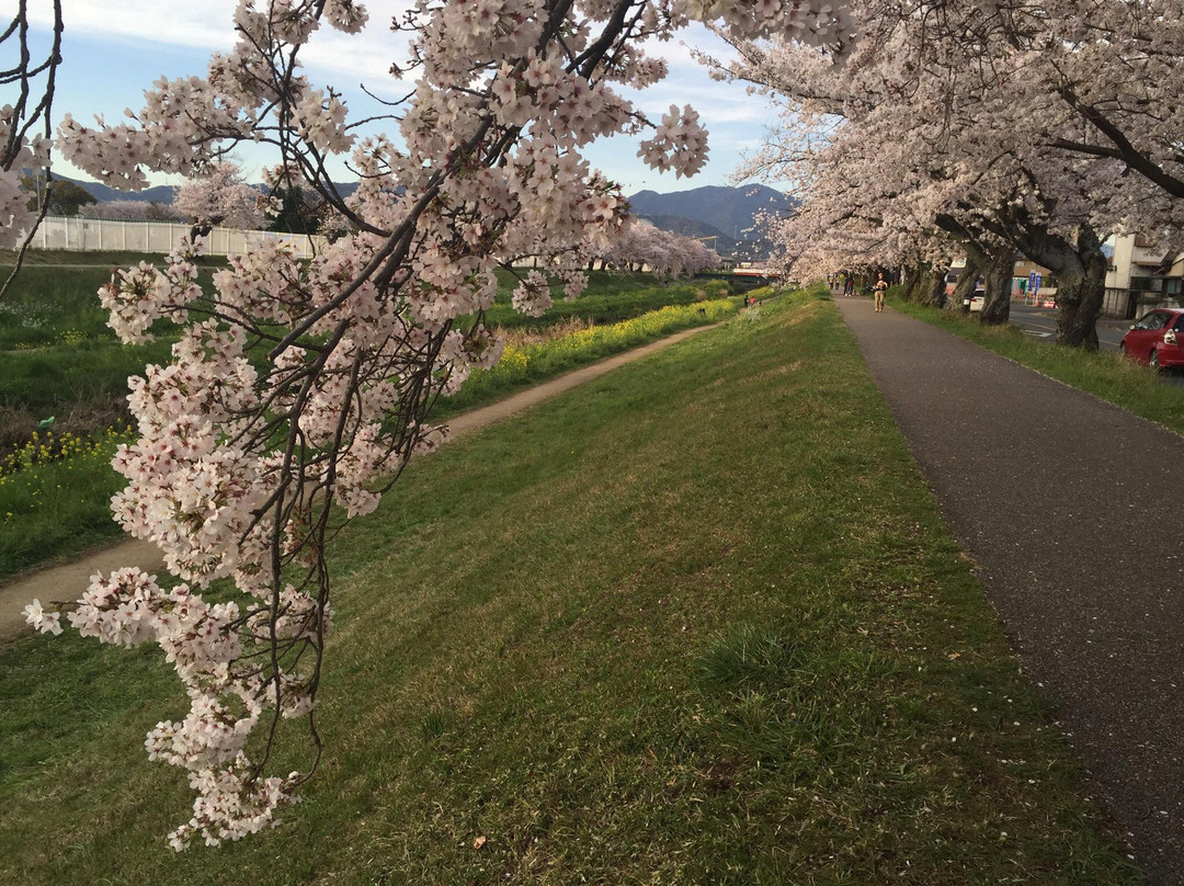 Sanagawa Embankment-丰川市必去景点