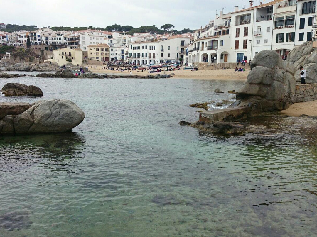 Platja Port Bo景点图片