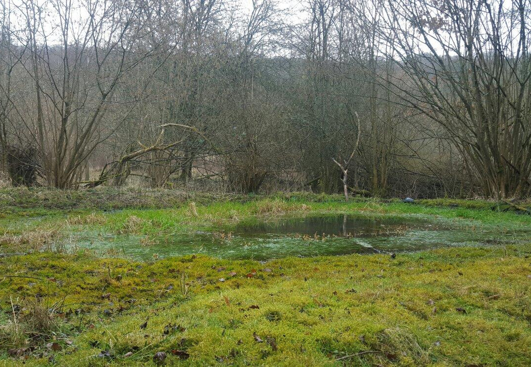 Warburg Nature Reserve景点图片