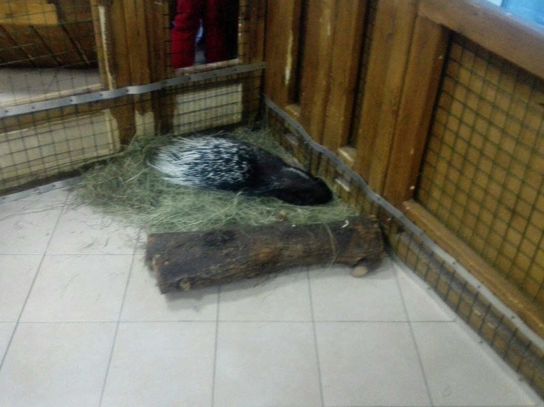 Touching Zoo A Pogladit Mozhno?-莫斯科必去景点