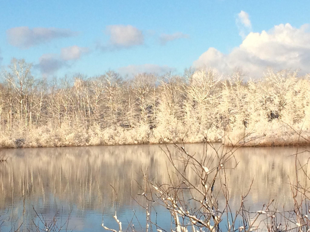Millennium Park-Walker必去景点