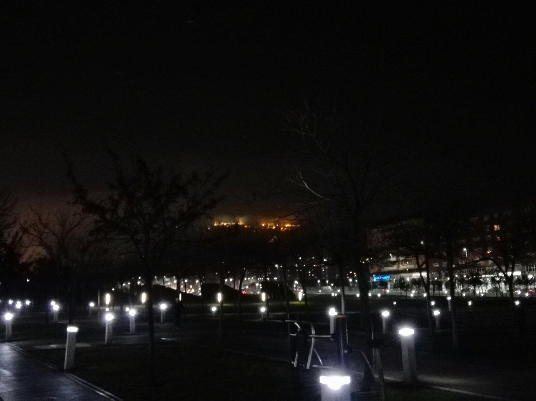 Parque Canino Del Bulevar-哈恩必去景点