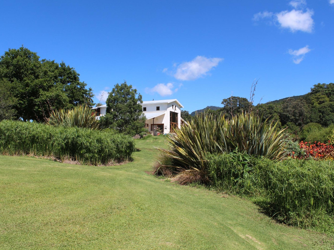 Hornbills Forest Getaway主图