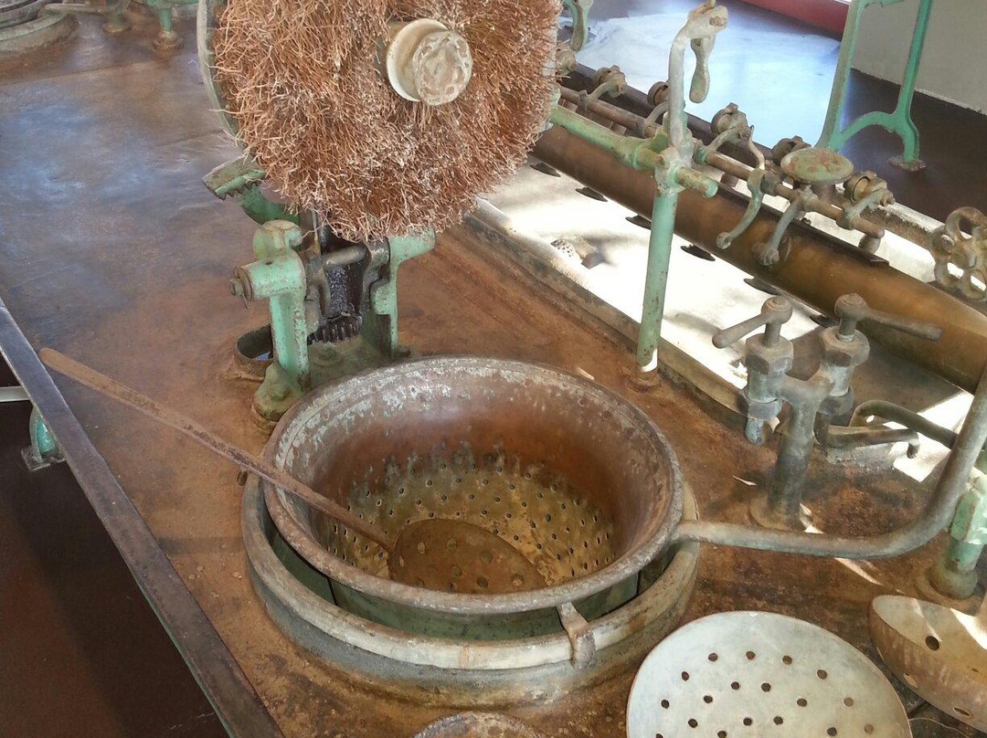 Museo del baco da seta-维托里奥威尼托必去景点