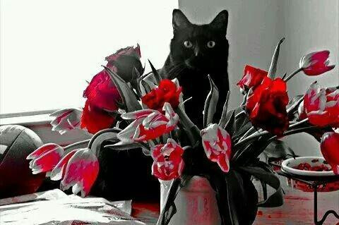 University of Texas at Dallas - Visual Arts Building-理查森必去景点