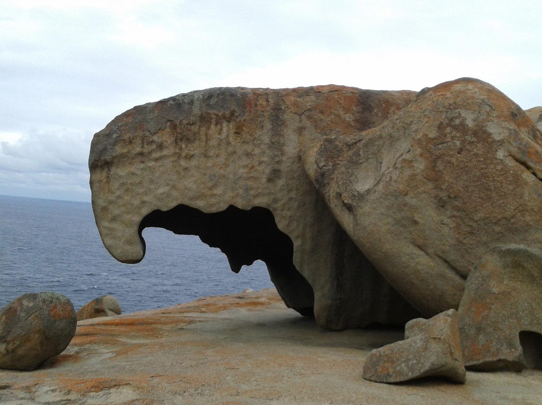 Kangaroo Island Transfers景点图片