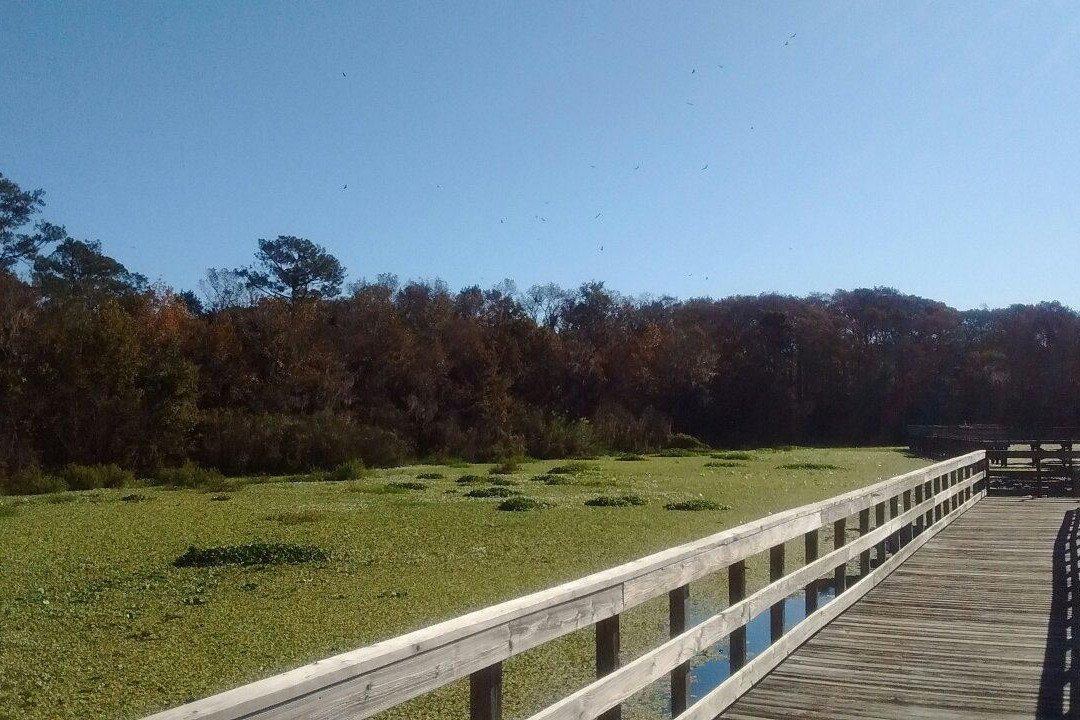 Lake Ashby Park-新士麦那海滩必去景点
