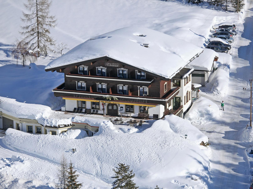 Hotel Pension Theresia主图