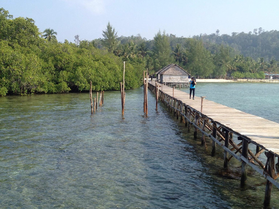 Papua Scuba-Waisai必去景点