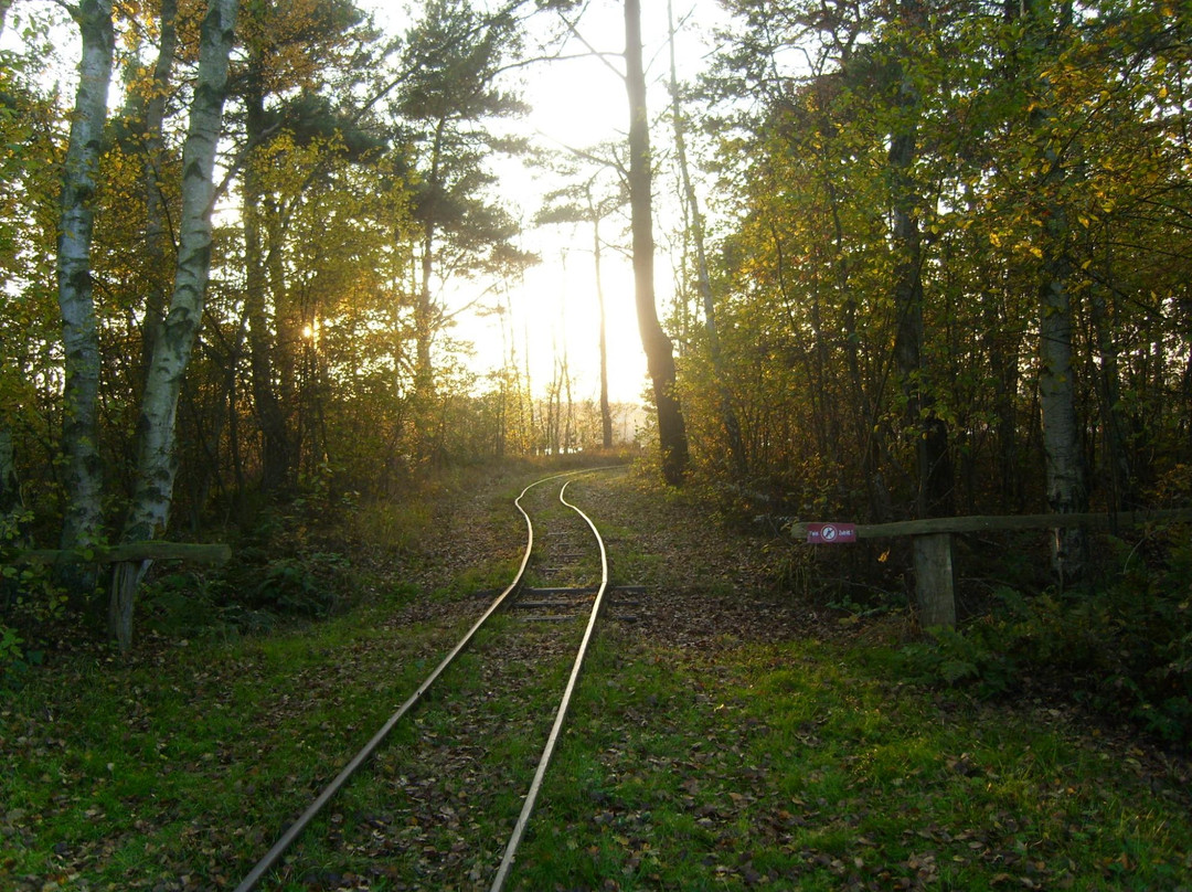 Moorbahn Burgsittensen-Tiste必去景点