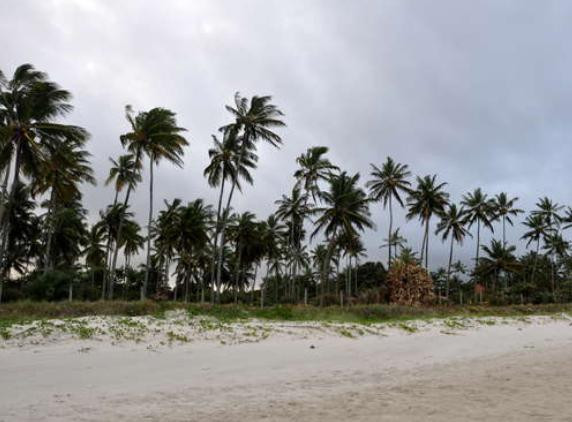 Praia Ponta do Ramo-Ilheus必去景点