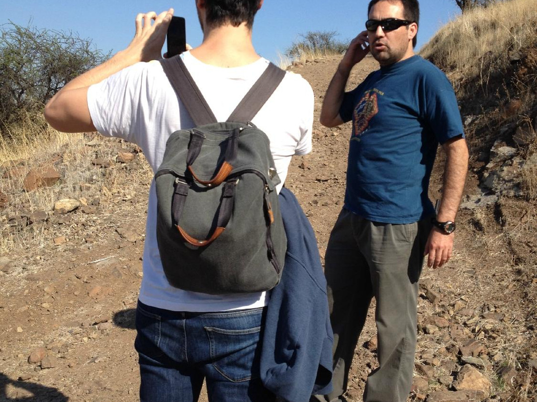 O'Higgins Tours - Day Tours-兰卡瓜必去景点