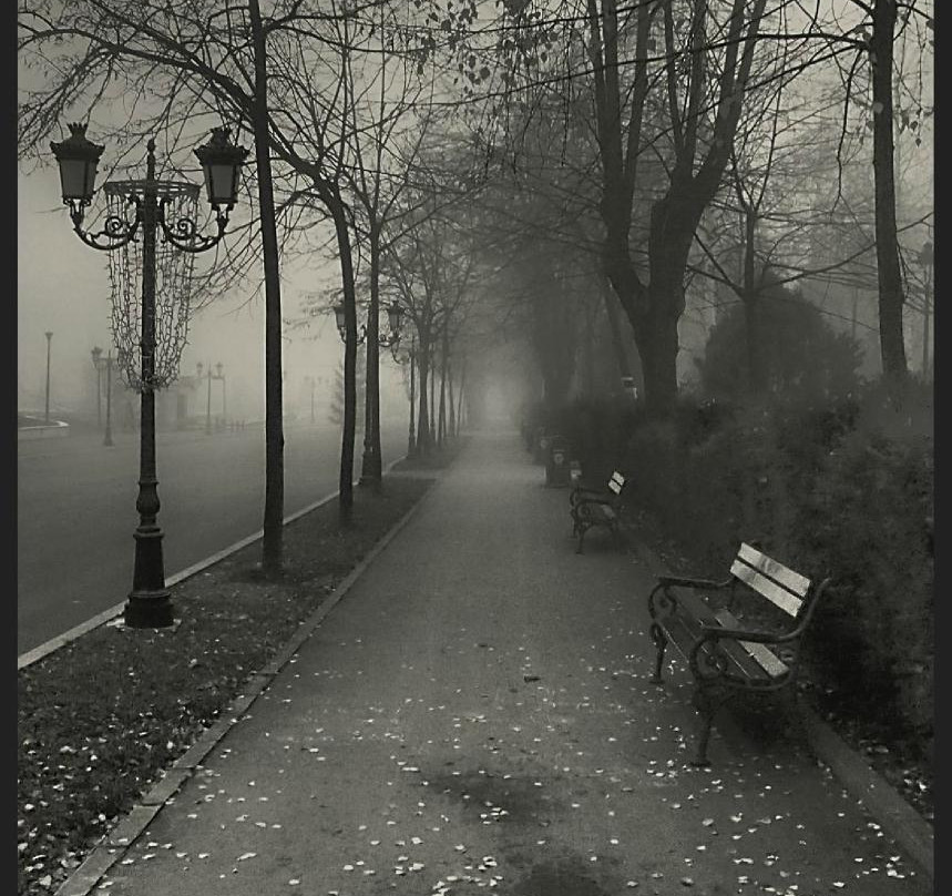 Parcul Tudor Vladimirescu-Drobeta-Turnu Severin必去景点