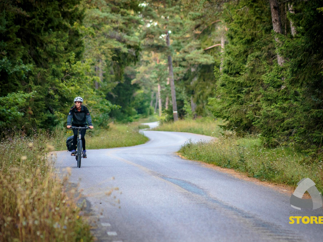 Gotland Active-维斯比必去景点