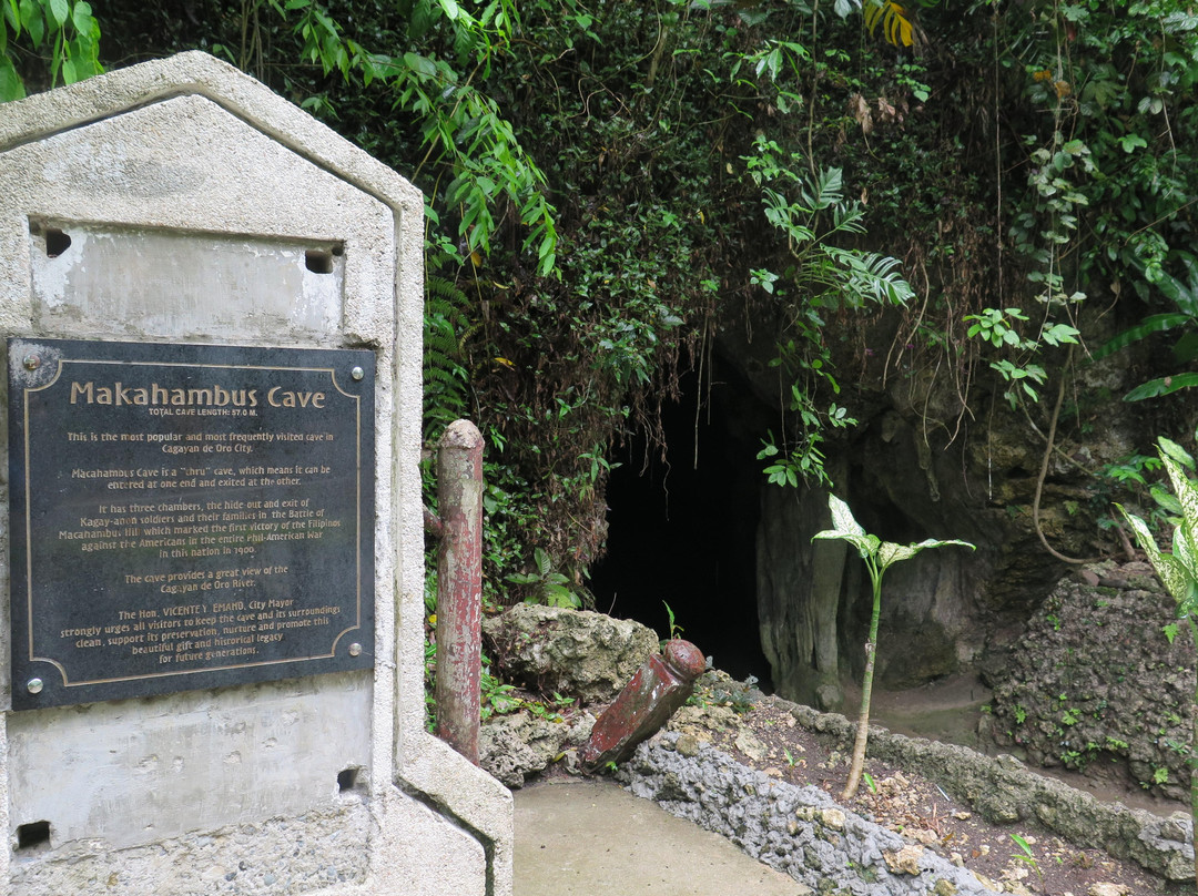 Macahambus Hill Cave景点图片