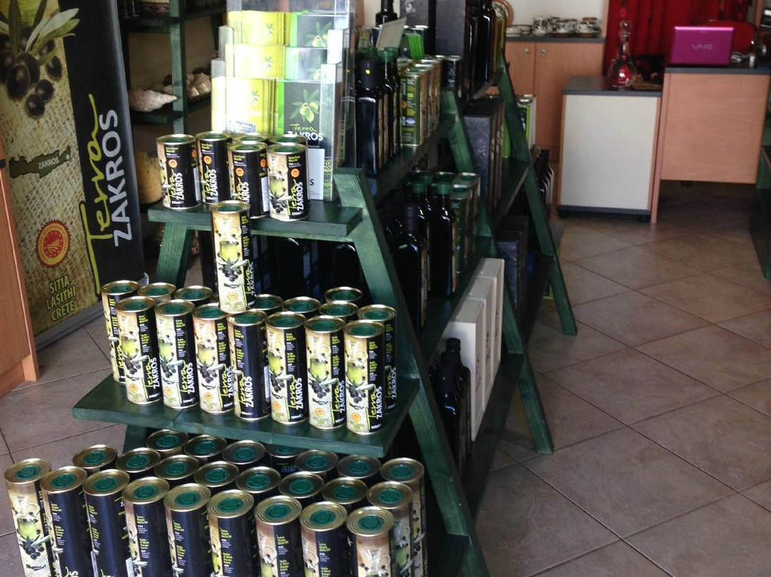 Terra Zakros Shop-Zakros必去景点