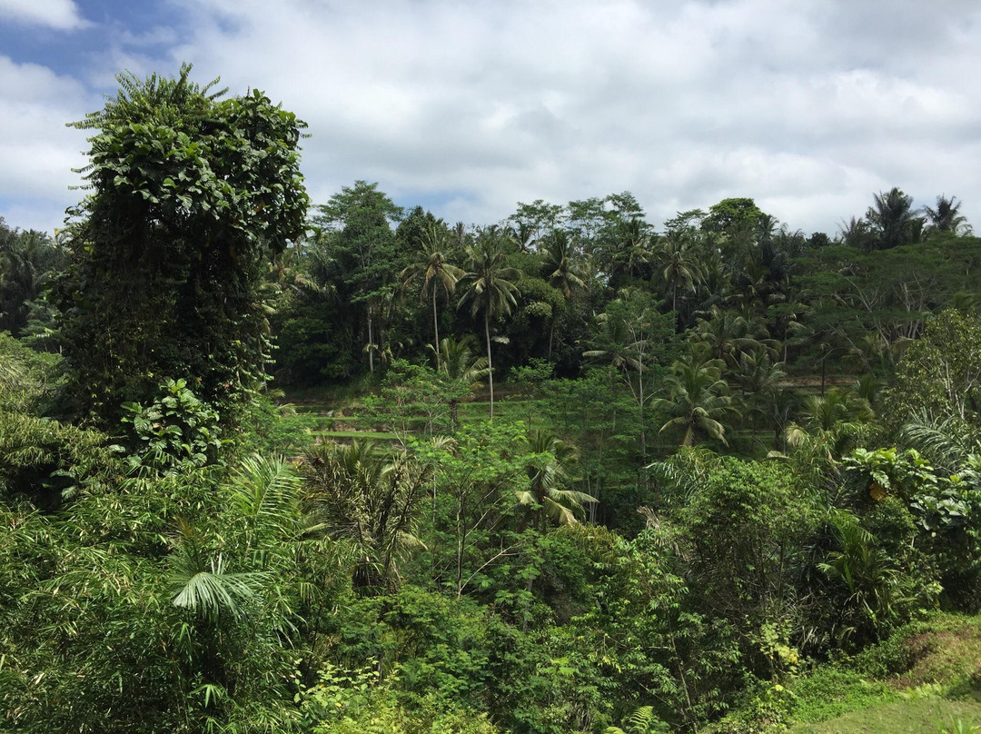 Bali Sunrise Trekking Tour-金塔马尼必去景点