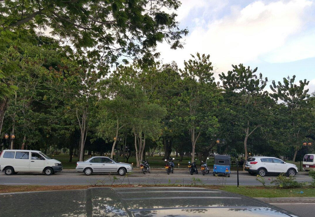 维哈马哈德维公园-科伦坡必去景点