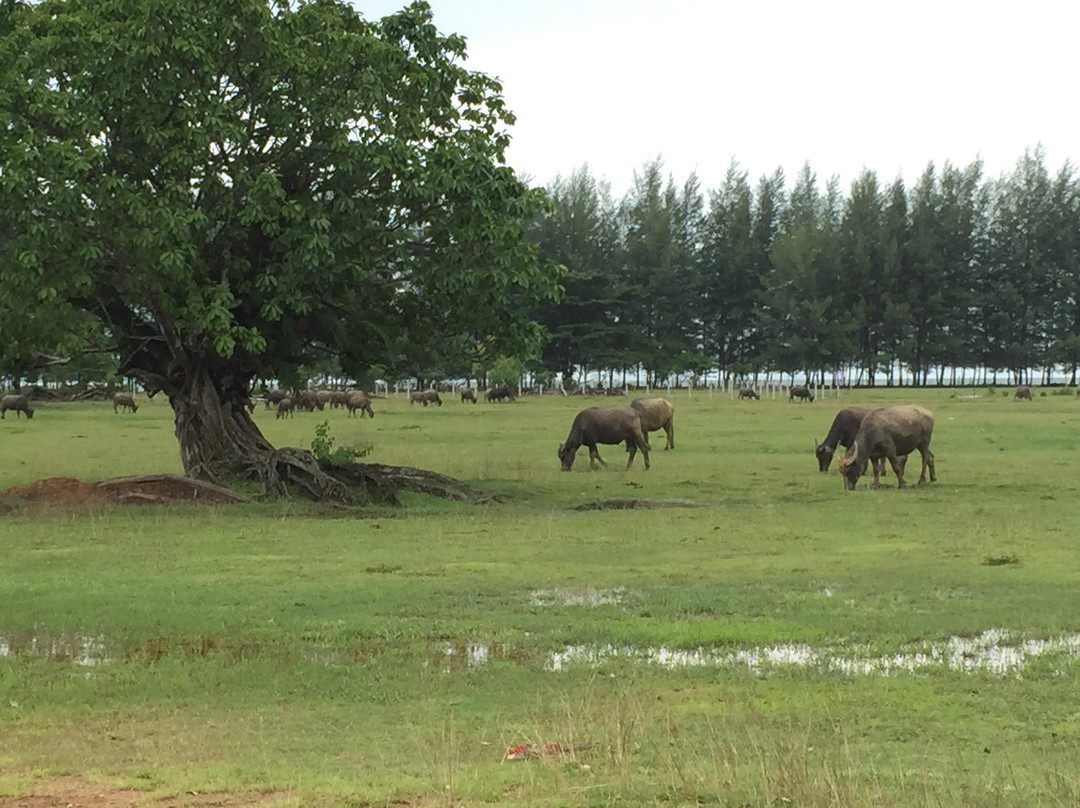 Laem Son Marine National Park-攀牙必去景点