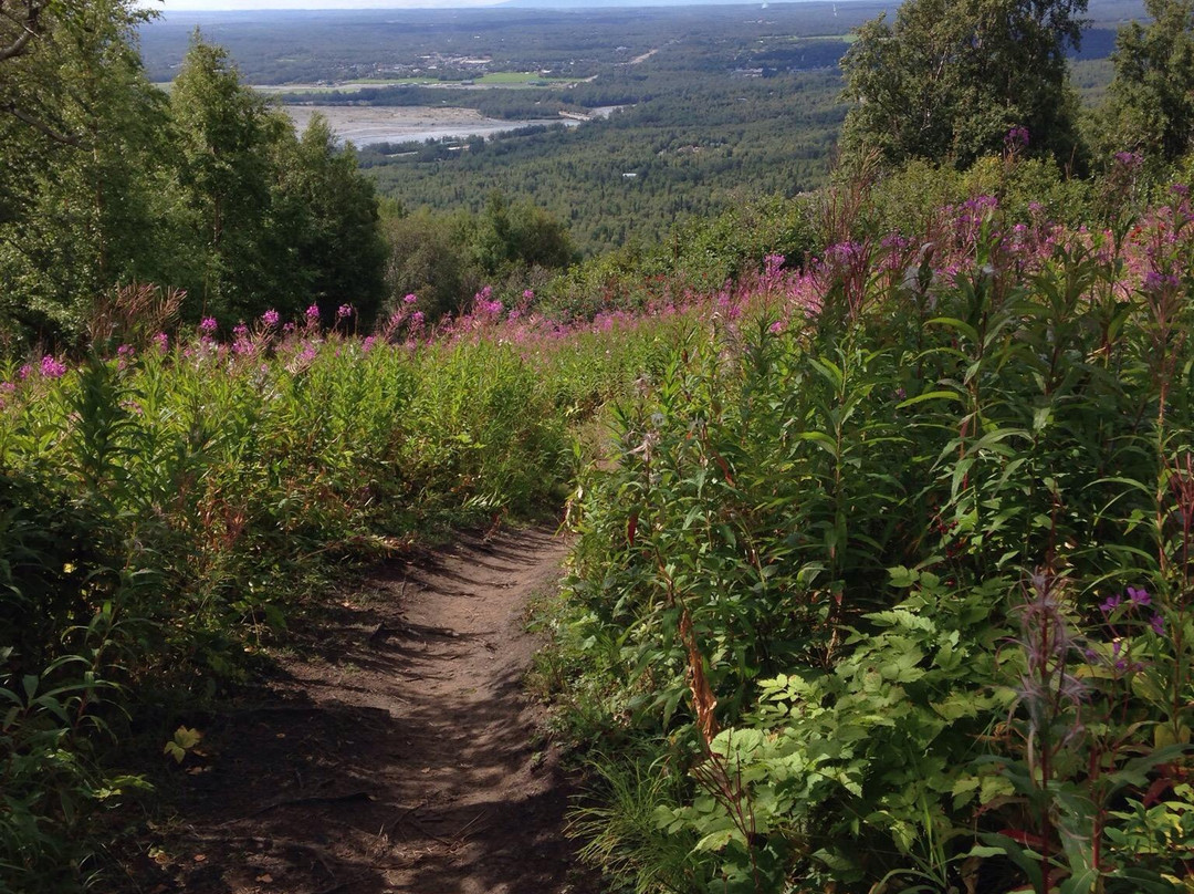 Lazy Mountain-帕尔默必去景点