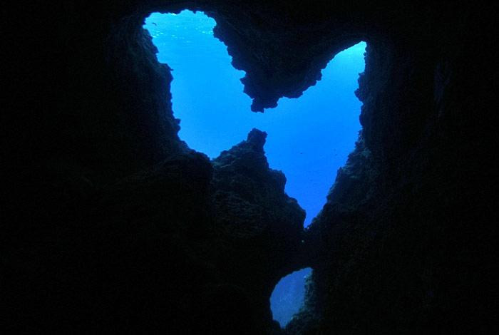 Diving Center Turtle Beach景点图片