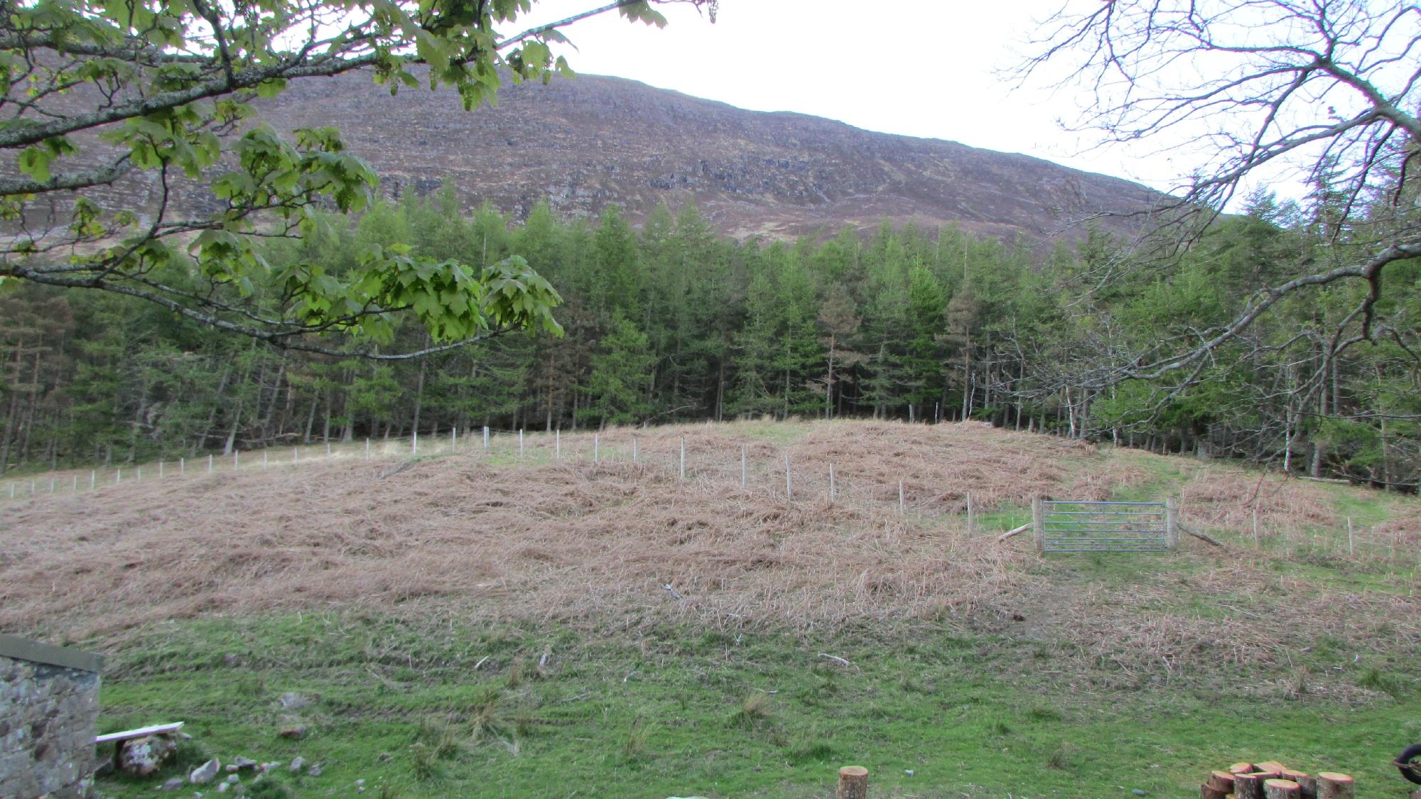Coillie Mhuiridh Bed & Breakfast-官方