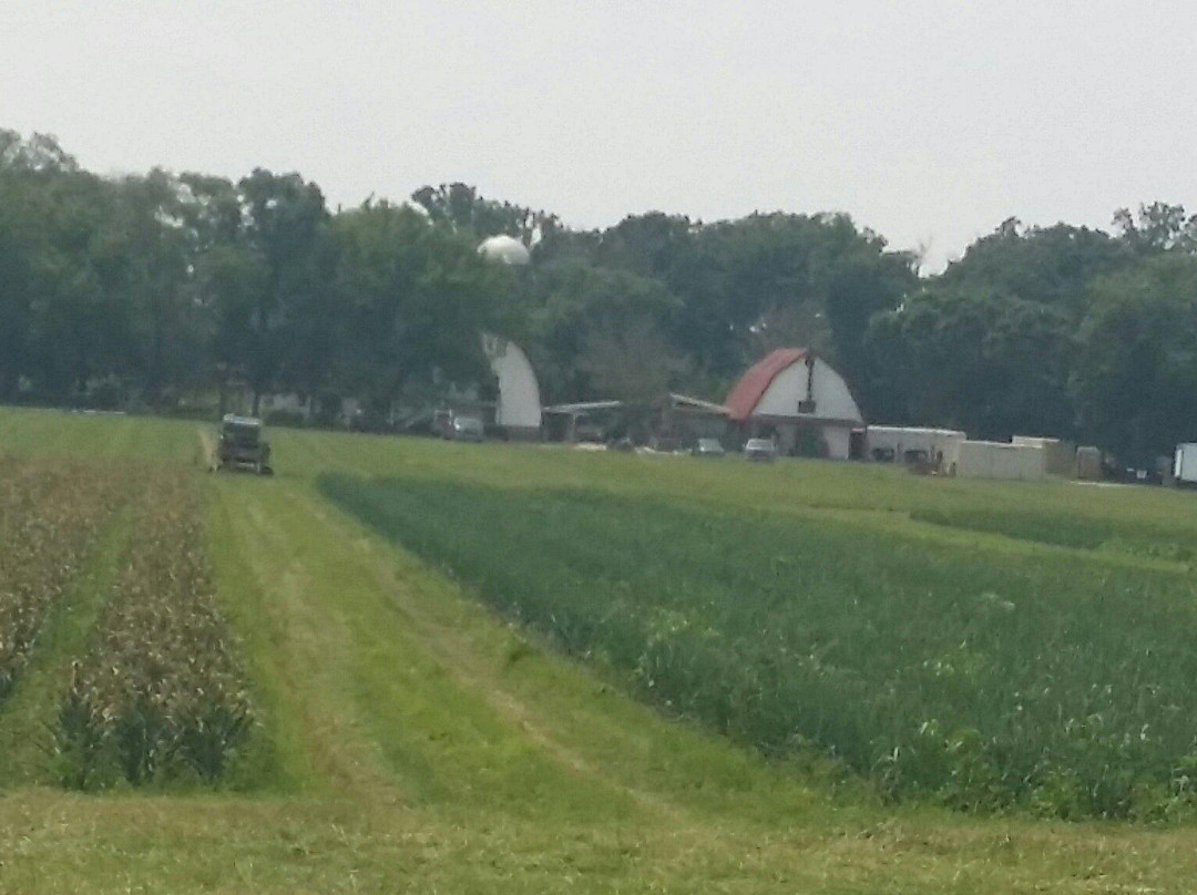 Angelic Organics Learning Center-Caledonia必去景点