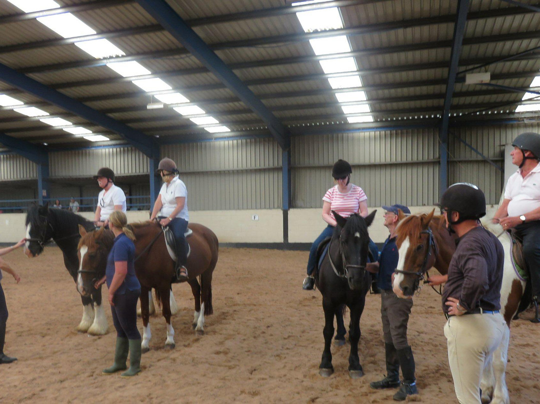 Saltburn Riding School-Saltburn-by-the-Sea必去景点