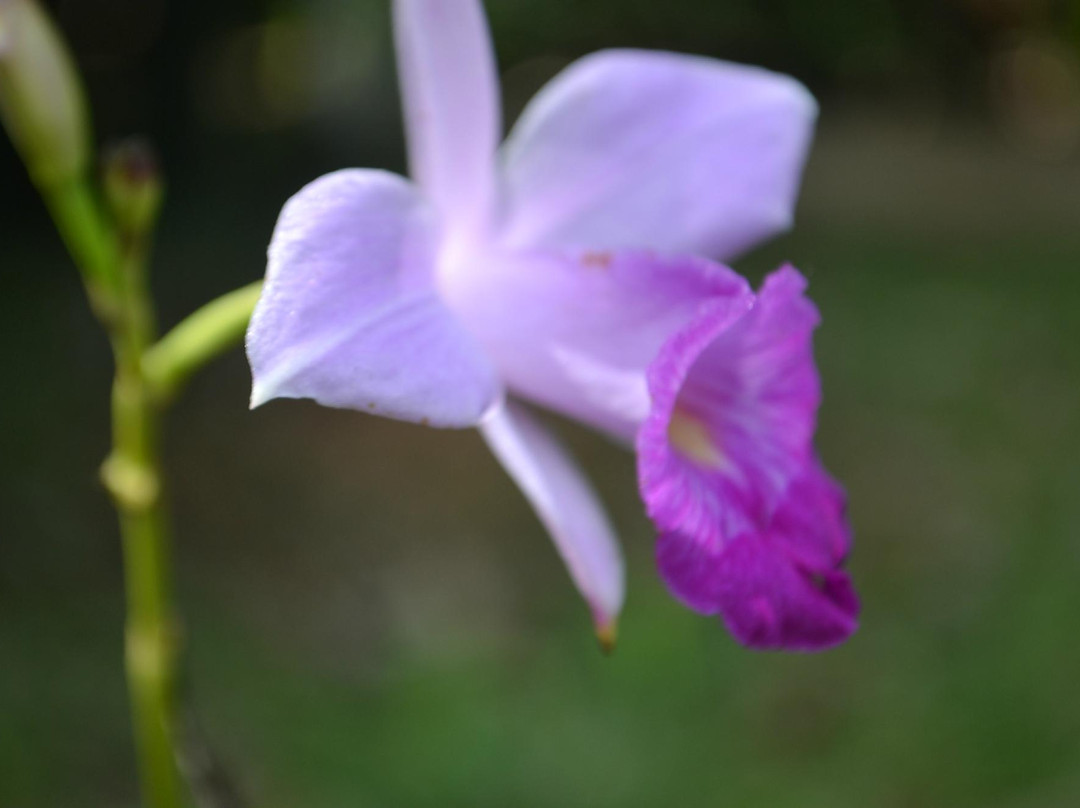 Parque do Tucuma-Rio Branco必去景点