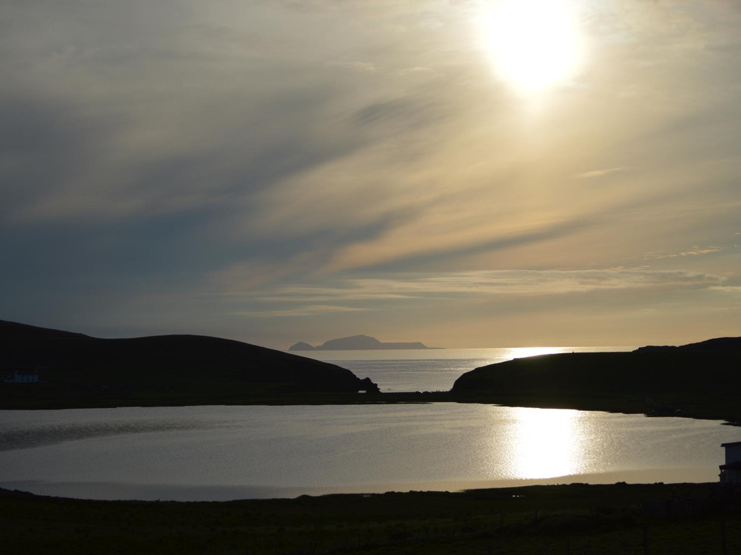 Shetland Wildlife-Sumburgh必去景点