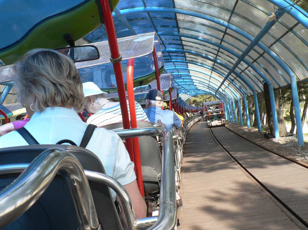 Samcheok Ocean Railbike-三陟市必去景点