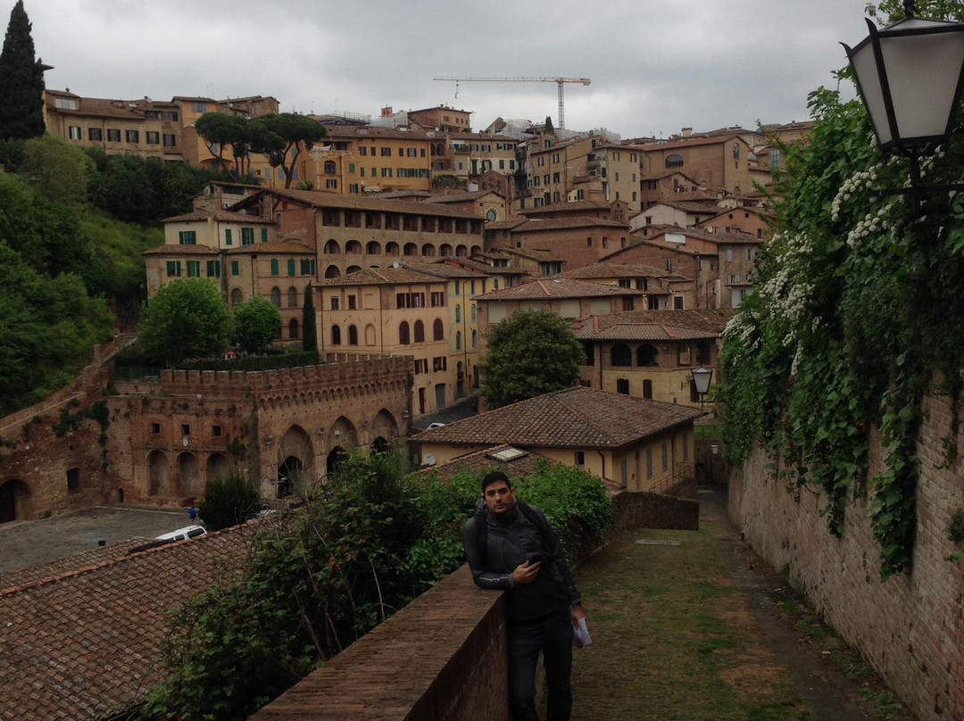 Centro Storico Di Siena-锡耶纳必去景点